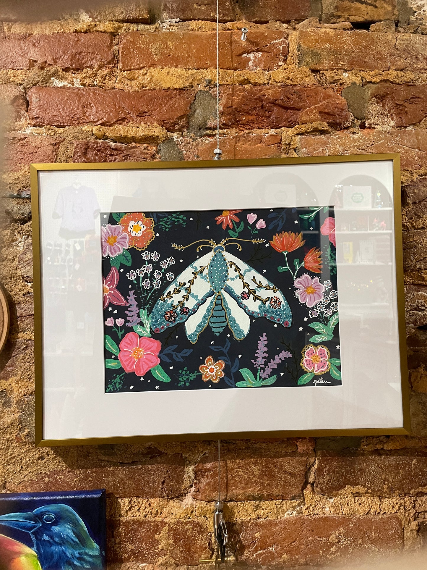 Galen Kolodziej - Moth