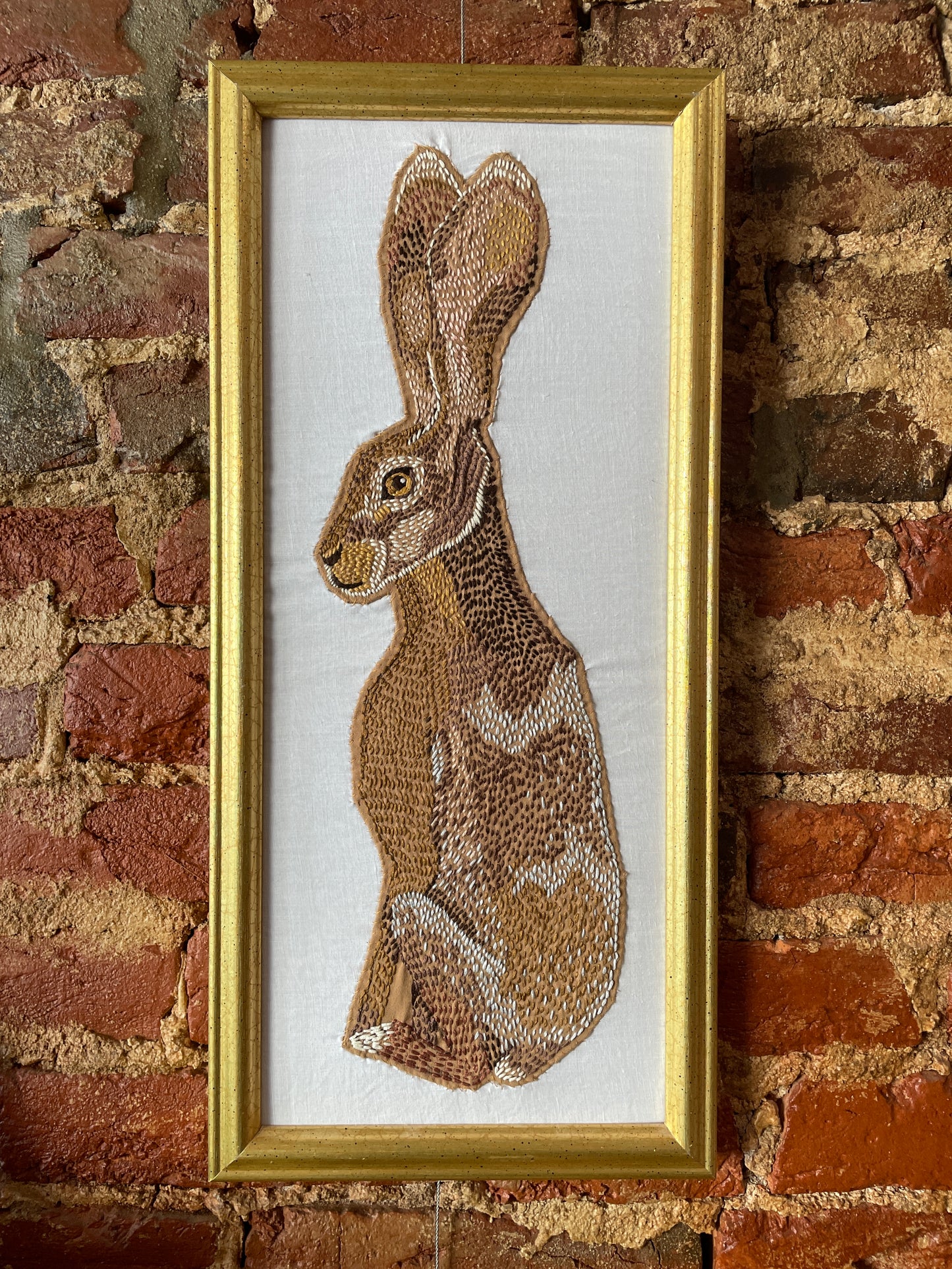 Jack Rabbit - Lisa Urban