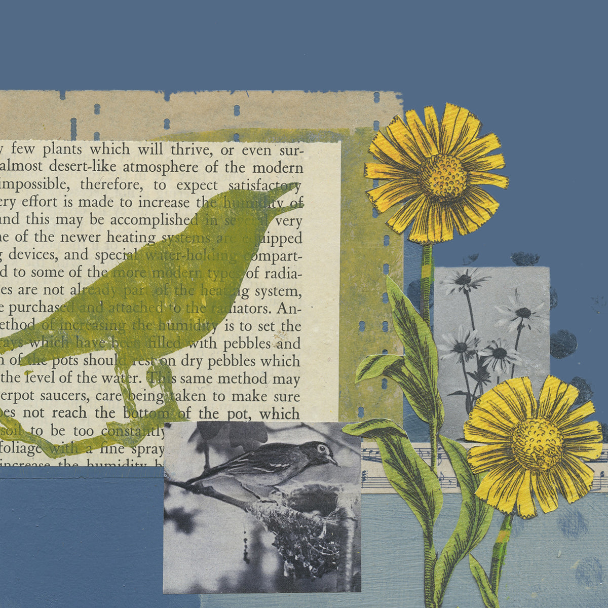 Lee Pohlsander - Wild Flowers