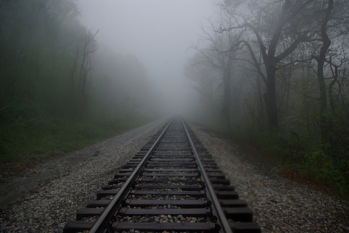 Vanishing Point - W. Vincent LoGreco Jr.