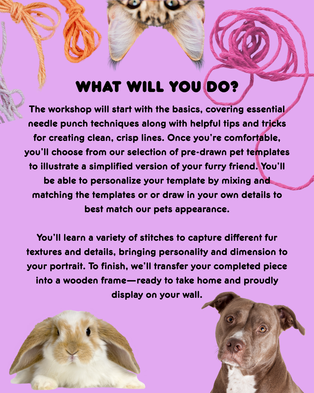 Needle Punch: Pet Portrait 4.22.26, 6:00 - 9:00 PM