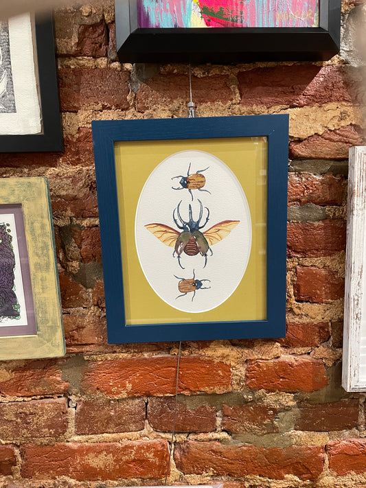 Zoe Gaylon - Atlas Beetles