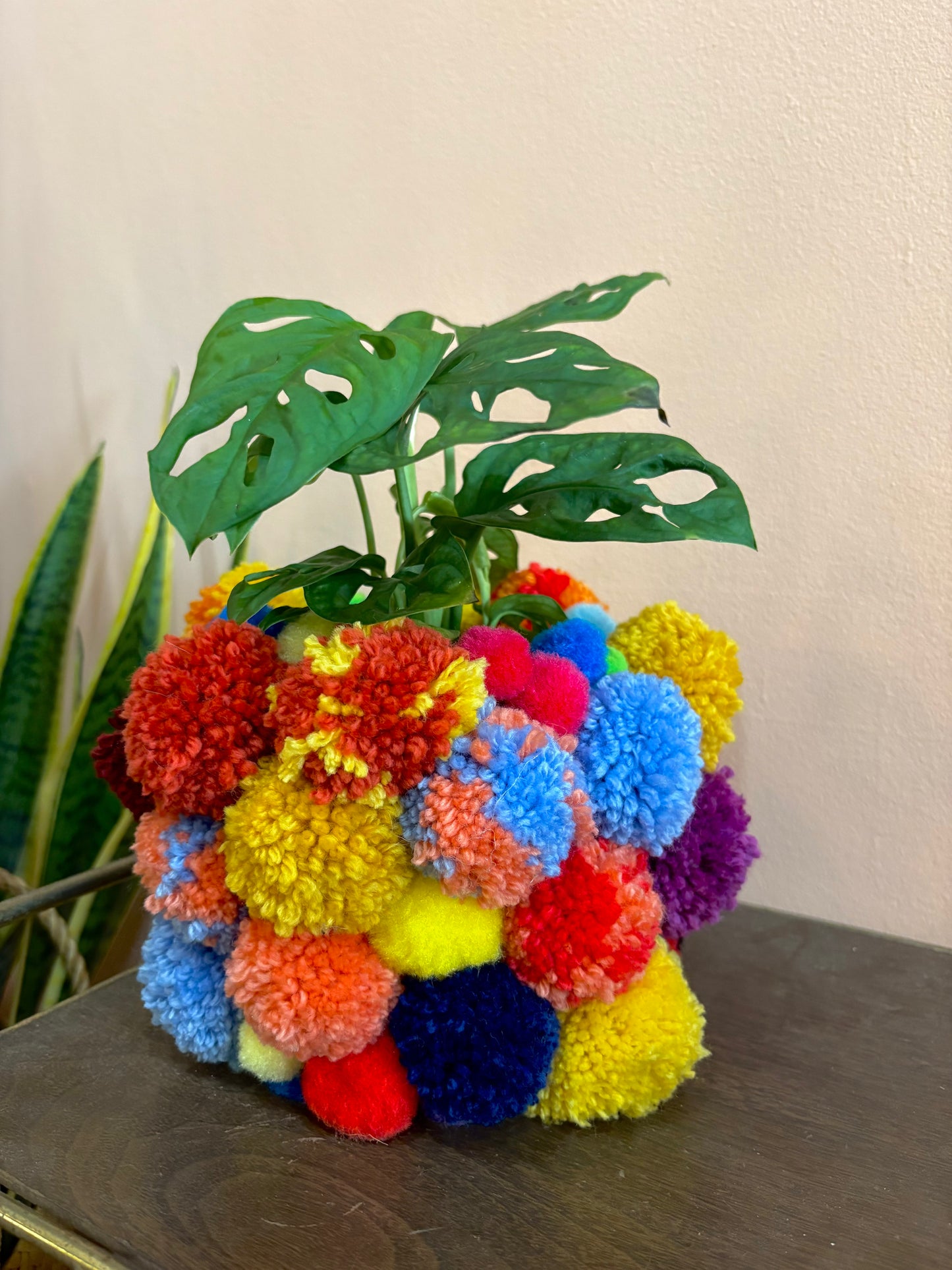 Pom Pom Pot Cover with Perch Plants, 11.4.26, 7:00 - 9:00 PM