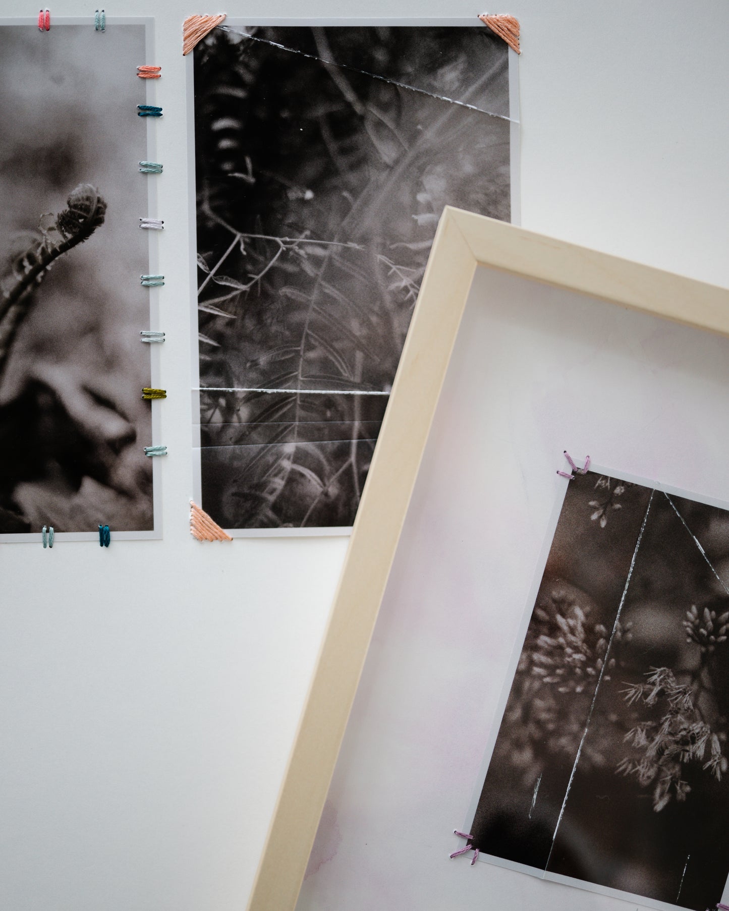 Photo Embroidery With Tina Crespo - 2.17, 6:30 - 8:30 PM